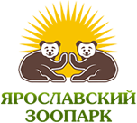 Новости наших коллег из Ивановского зоопарка