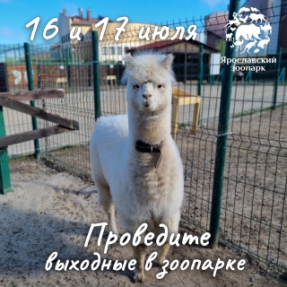 16 и 17 июля Ярославский зоопарк приглашает провести выходные у себя в гостях!