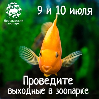 9 и 10 июля Ярославский зоопарк приглашает к себе в гости!