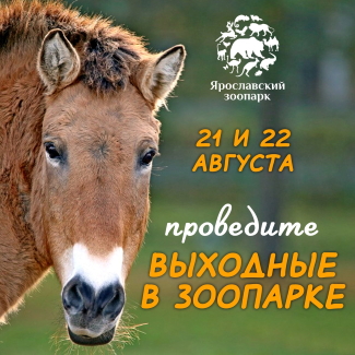 21 и 22 августа Ярославский зоопарк приглашает в гости!