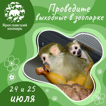 24 и 25 июля Ярославский зоопарк приглашает провести выходные у себя в гостях!