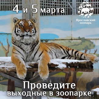 Ярославский зоопарк приглашает...