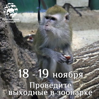 Выходные в Ярославском зоопарке