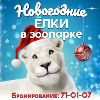 Новогодние ёлки в Ярославском зоопарке